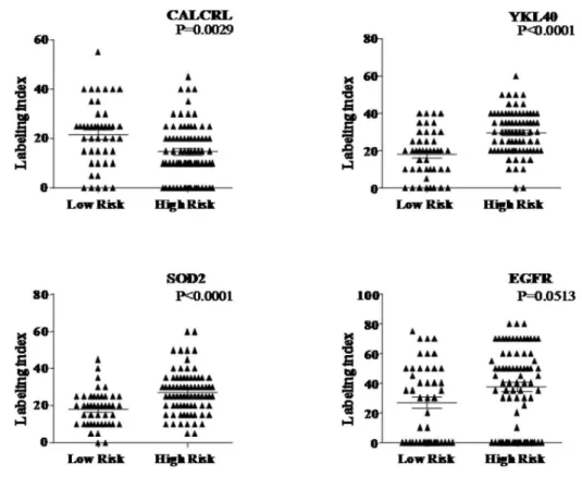 Figure 6. Immunohistochemical analysis of selected genes. Immunohistochemical staining pattern of the proteins of CALCRL that was expressed at a higher level in the low risk groups and CHI3L1, SOD2 and EGFR that were expressed at a higher level in the high