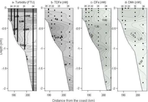 Fig. 7. Two dimensional distributions of turbidity (a), concentrations of TDFe (b), DFe (c) and DMn (d) for a part of the slope.