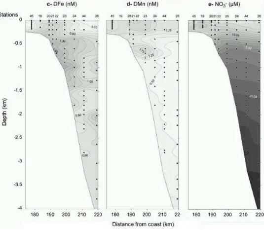 Fig. 6. Continued. Two dimensional distributions of concentrations of DFe (c), DMn (d), and NO − 3 (e) over the slope.