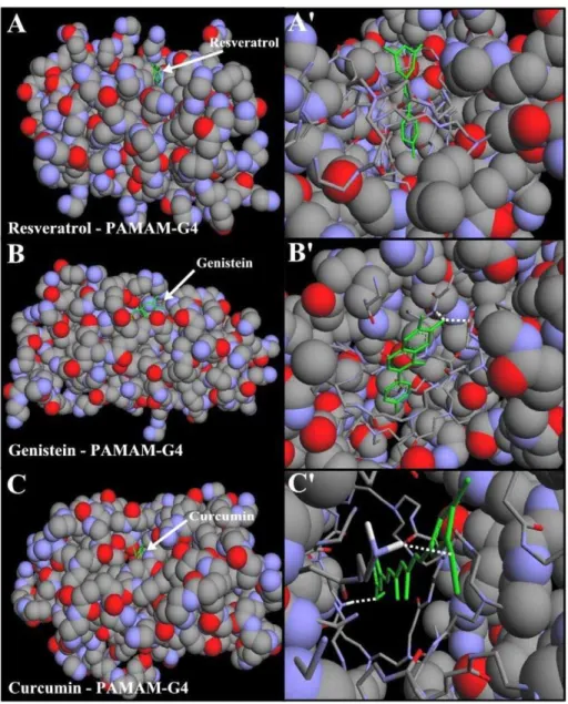 Table 2. Binding energy for the best docking positions for drug-dendrimer Complexes.