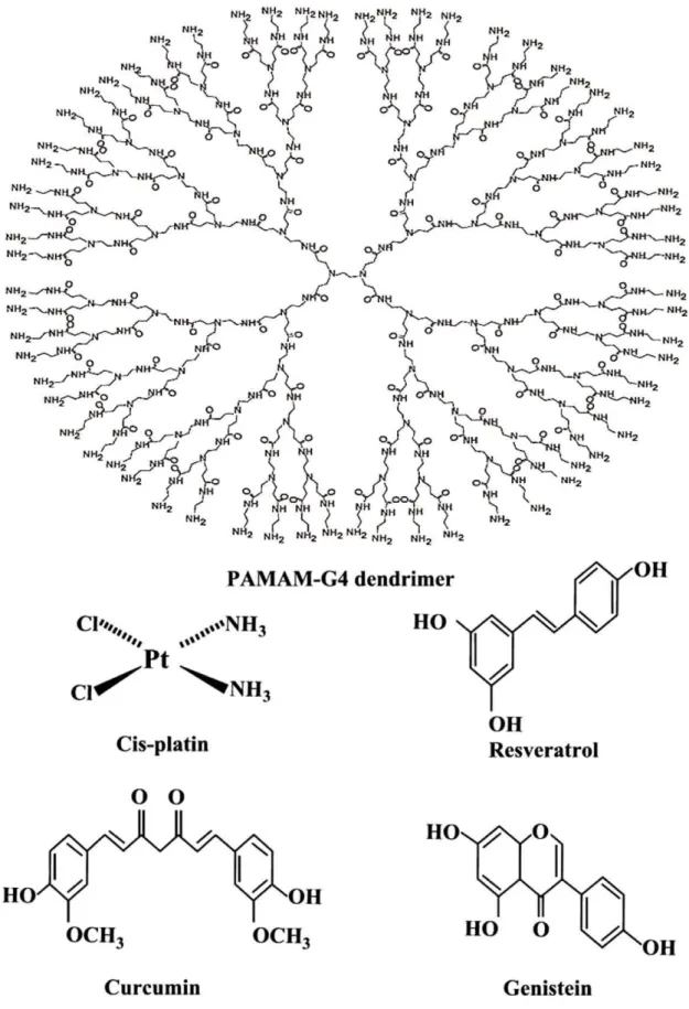 Figure 1. Chemical structures of PAMAM-G4 dendrimer, cisplatin, curcumin, resveratrol and genistein.