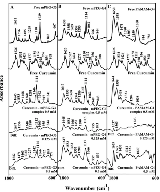 Figure 4. FTIR spectra and difference spectra (diff.) in the region of 1800-600 cm 21 of hydrated films (pH 7.4) for free mPEG- mPEG-PAMAM-G3 (A), mPEG-PAMAM-G4 (B) PAMAM-G4 (C) (0.5 mM) and their curcumin complexes obtained at different polyphenol concent