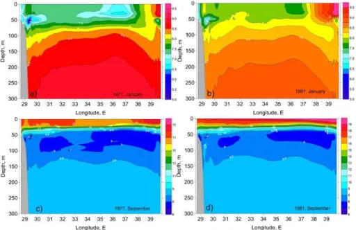 Fig. 3. Vertical sections of the temperature field along 43   ◦ 30 ′ N in January (upper row) and September (bottom row) in warm weather conditions of 1977 (left) and very warm conditions of 1981 (right).