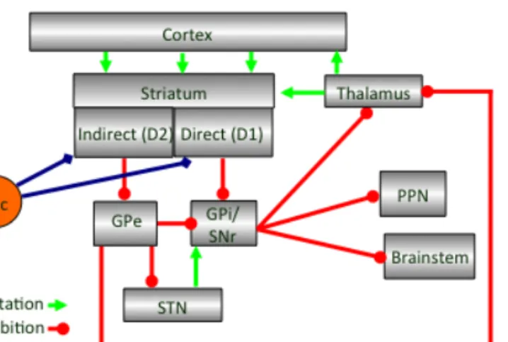 Figure 1.1| Main input and output connections of basal ganglia structures. 