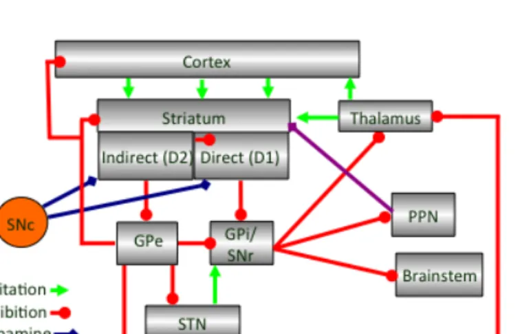 Figure 1.2| Updated scheme of main input and output connections of basal  ganglia.  