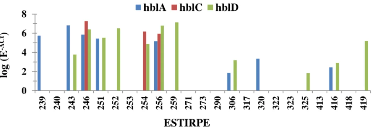 Figura 4 - Expressão dos genes do complexo hbl às 10 horas de crescimento bacteriano. No eixo das  abcissas estão representadas as diferentes estirpes e no eixo das ordenadas o logaritmo dos valores de 