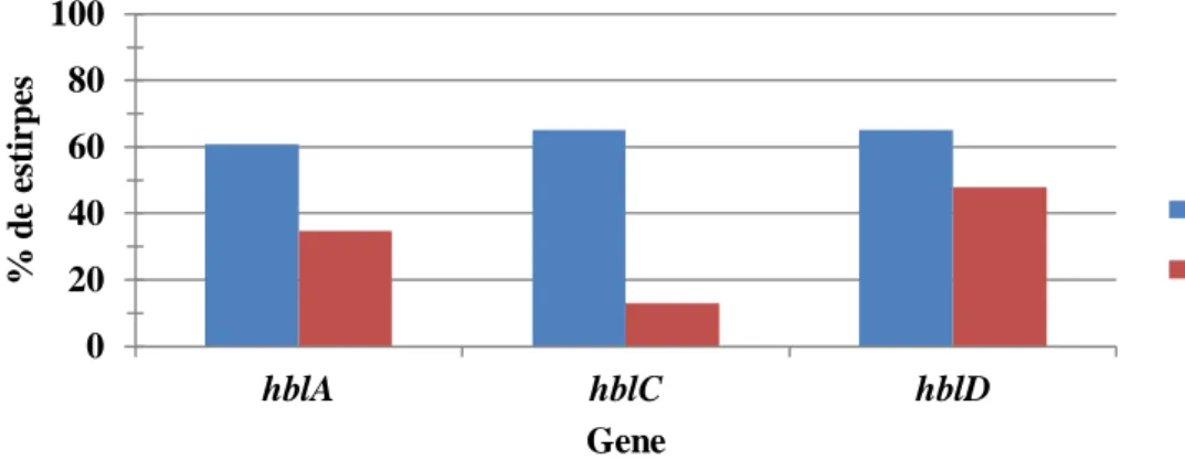 Figura 7  -  Comparação entre os resultados da análise dos genes do operão hbl  por PCR (Deteção) e por RT-qPCR (Expressão)