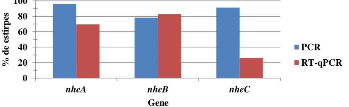 Figura 8 - Comparação entre os resultados da análise dos genes do operão  nhe por PCR (Deteção) e por RT-qPCR (Expressão);