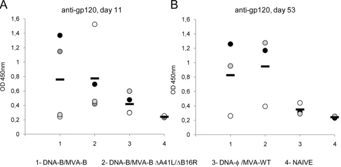 Figure 6. Humoral immune response elicited against HIV-1 gp160 protein induced by immunization with MVA-B and MVA-B D A41L/ D B16R