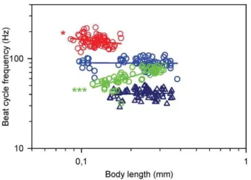 Figure 4. Distance travelled per beat as function of body length (BL) in nauplii. Regression lines are power laws fitted to the data