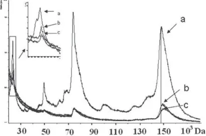 Fig. 1. MALDI-TOF mass spectrum of IgG (a), after one hour of incubation (b), and 4-hour incubation (d) in the  presence of 100 mg / ml of HA in positive mode.