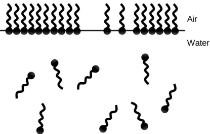 Figure 8 -  Visual representation of the air/water interface and  surfactant adsorption on it
