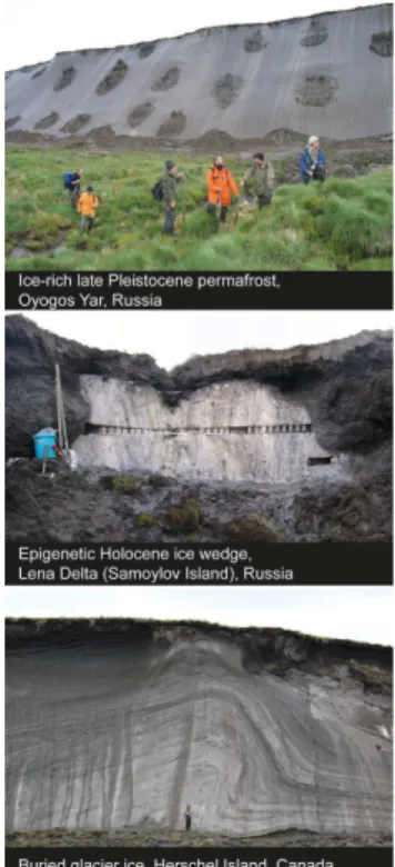 Figure 2. Ground ice conditions and examples of studied ground ice types in the Siberian and North American Arctic