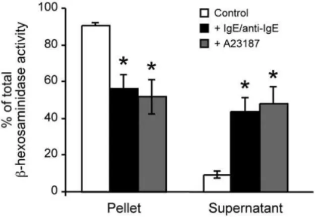 Figure 1. Activation and degranulation of BMMCs. Bone marrow precursor cells were cultured in vitro into BMMCs as described in Experimental Procedures