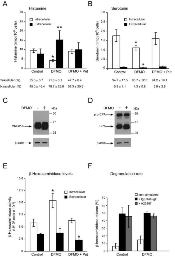 Figure 5. Effect of polyamine depletion on secretory granule component levels and degranulation ability in BMMCs