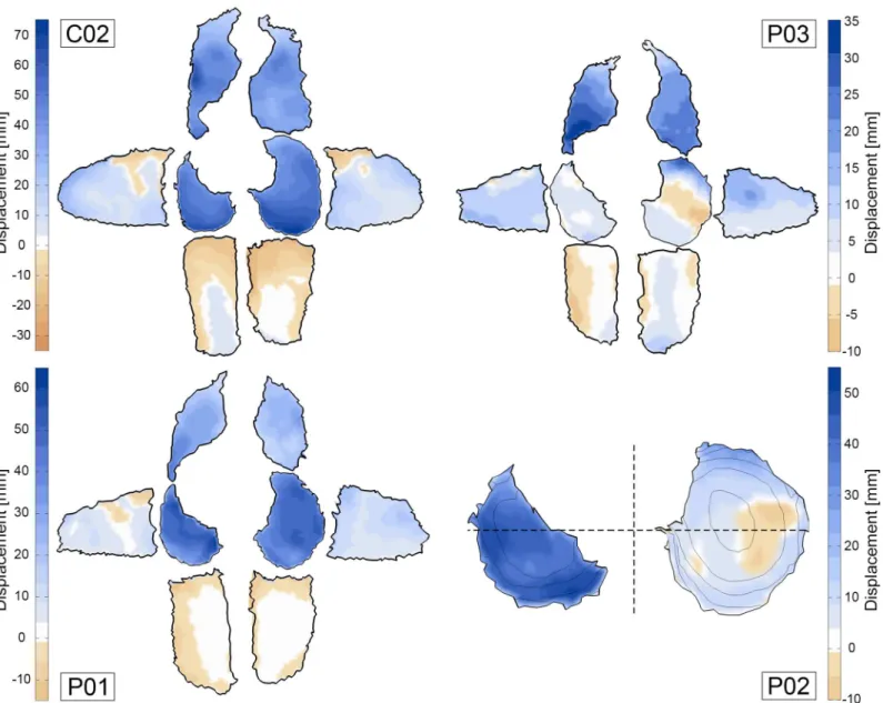 Fig 8. Maximum excursion of points on costal and diaphragm surface. The outer six segments of subjects C02 , P01 and P03 represent the left, right, left/right-anterior and left/right-posterior parts of the costal surface