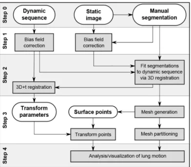 Fig 1 shows a schematic overview of the proposed image processing pipeline. The main framework can be divided into four steps: preprocessing, deformation field estimation, lung surface partitioning, and motion analysis