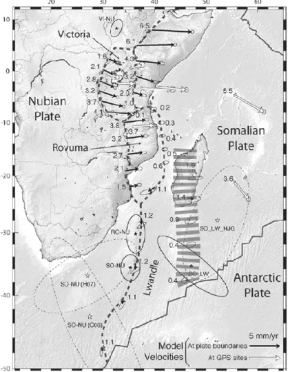 Figura 4: Modelo cinemático do sistema de Rifte do Leste Africano,  obtido  por  GPS,  onde  se  visualiza  a  diferença  de  velocidade  entre  o  sector Norte e Sul do mesmo, bem como entre os ramos W e E
