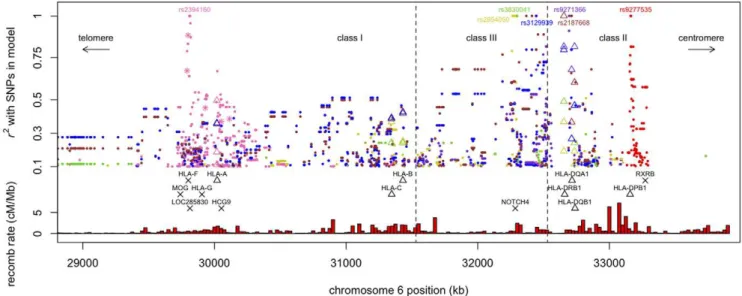 Figure 1. LD between the seven SNPs in the fitted model (Table 1) and other MHC polymorphisms
