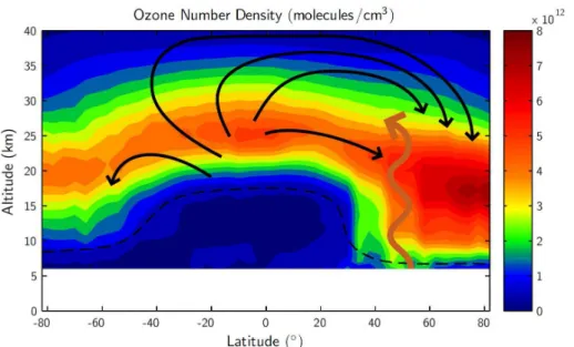Figure 1. Brewer–Dobson circulation (BDC) and stratospheric ozone. The sense of this net circulation or BDC is shown by the black arrows overlain on the zonally-averaged ozone  distri-bution (or its number density in molecules per cm 3 vs