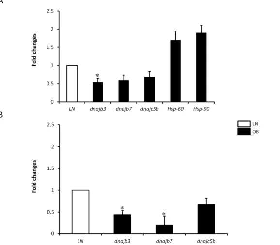 Table 3. Primer sequences used for real time PCR to analyze gene expression status of human heat shock-related genes.