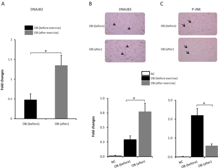 Figure 3. Physical exercise restores the expression of DNAJB3. (A) Quantitative analysis of DNAJB3 mRNA levels in the adipose tissue from obese before exercise (n = 10) and after 3 months of exercise (n = 10) using real-time PCR