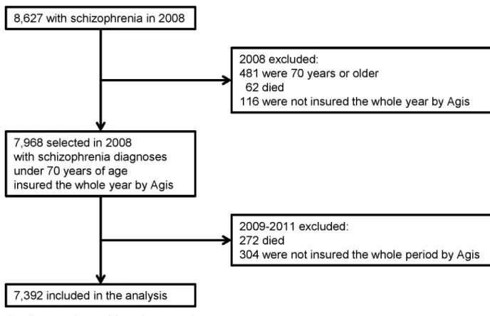 Fig 1. flowchart of the participants in the analysis.