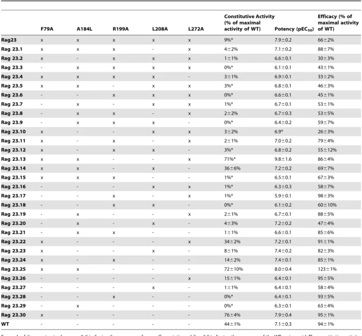 Table 1. Characteristics of the A 2A R constructs used in this study.