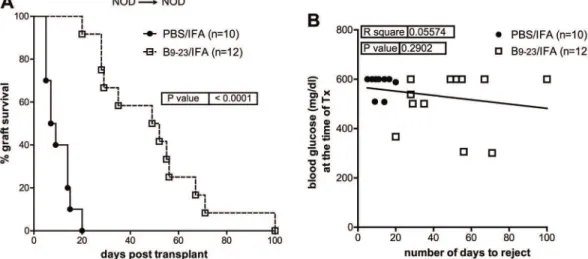 Fig 1. InsB 9–23 /IFA immunization temporarily controls recurrent autoimmunity in NOD mice