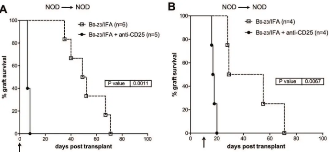 Fig 2. InsB 9–23 /IFA treatment efficacy is dependent on CD4 + CD25 + Treg cells. Spontaneously diabetic female NOD mice were transplanted with syngeneic islets and with insB 9 – 23 /IFA