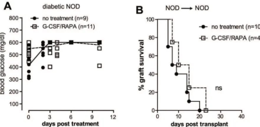 Fig 4. G-CSF/RAPA treatment does not reverse diabetes in NOD mice and does not control the recurrence of autoimmunity