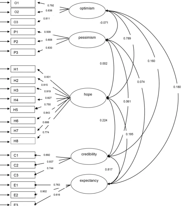 Fig 1. Path diagram and standardized factor loadings and correlations between factors for the 5 factor model