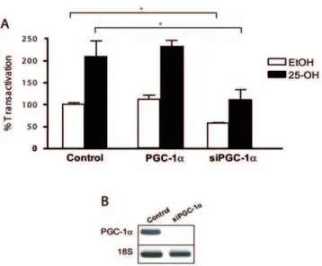 Figure 4. Implication of PGC-1a in sPLA2-IIA promoter activity.