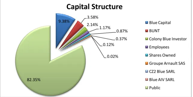 Graphic 1: Capital Structure  