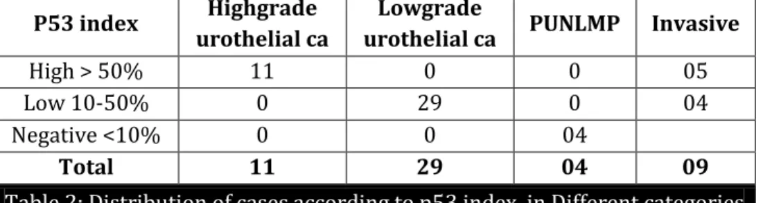 Table 2: Distribution of cases according to p53 index  in Different categories 