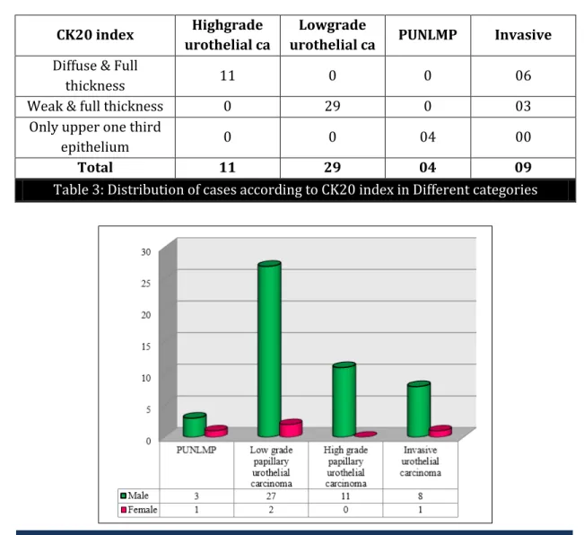 Table 3: Distribution of cases according to CK20 index in Different categories 