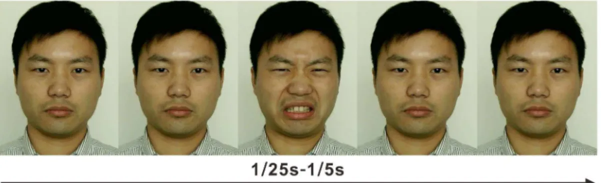 Figure 2 shows the accuracy rates for each target micro- micro-expression with three contexts