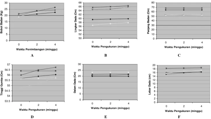 Figure 2. The average percentage increasement in Texel sheep on each treatment. A. body weight of sheep, B