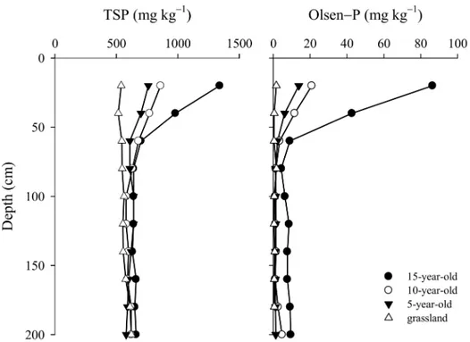 Fig 6. Total P and Olsen-P distribution in the 0 − 200 cm profile under P-accumulated soil.
