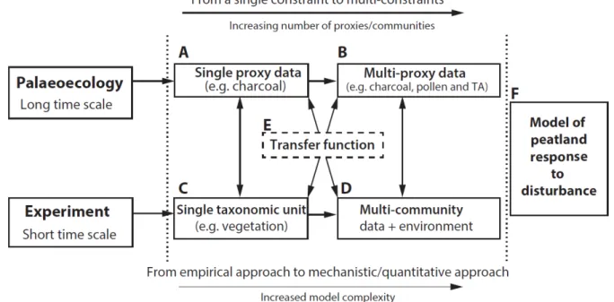 Figure 10. A concept for linking palaeoecological and experimental approaches. The diagram shows an  increasing complexity of the palaeoecological information/record from one proxy to multiple proxies,  paralleled by an increasing complexity in experiments