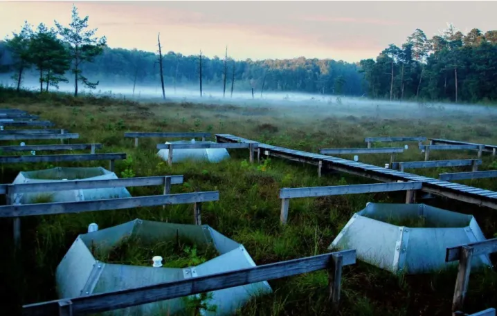 Figure 2. Linje Mire experimental site with open-top chambers passive heating system (photo Jan Barabach).
