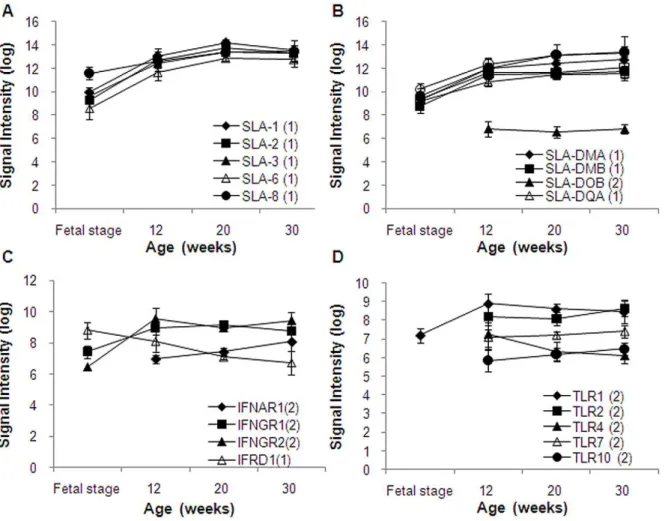 Figure 5. Signal intensity of major histocompatibility complex (MHC) genes. (A) Swine leukocyte antigens (SLA) classical class I genes