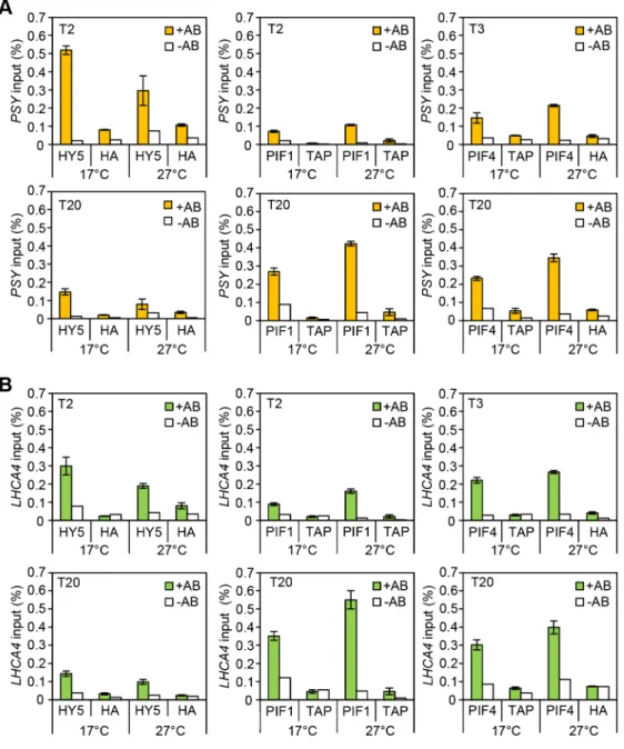 Figure 4. Chromatin immunoprecitation assays for 35S::HA-HY5, 35S::TAP-PIF1 and 35S::PIF4-HA grown in red-diurnals at 17 6 C and 27 6 C