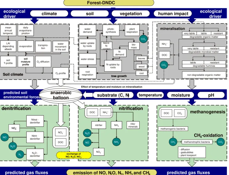 Fig. 2. Structure of the Forest-DNDC model.