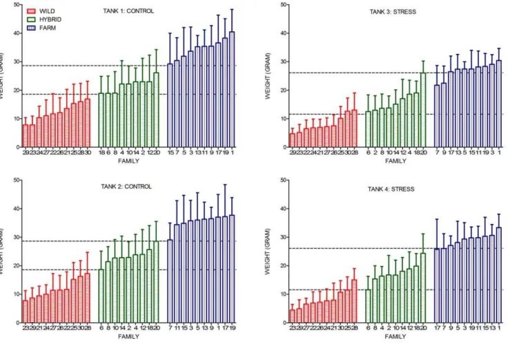 Figure 2. Mean family weight. Mean family weight (g) of wild, hybrid and farmed families in all four tanks