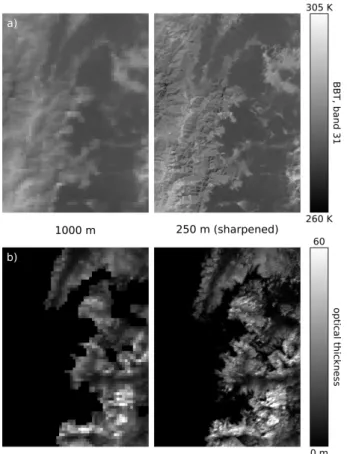 Figure 7. Example results of the sharpening of (a) MODIS band 31 (cf. Sect. 3.1) and (b) the MOD 06 optical thickness (cf