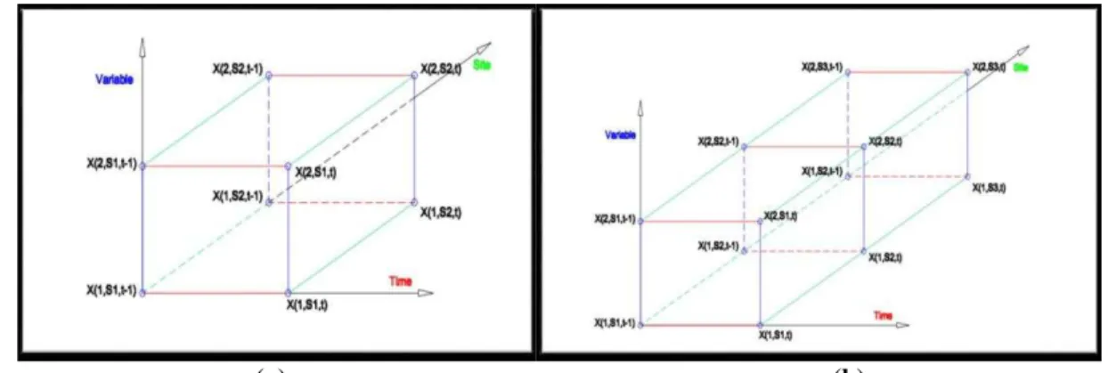 Fig. 1 Schematic representation of the developed multi-variables multi-sites model, a)MVMS(2,2,1), b)  MVMS(2,3,1)