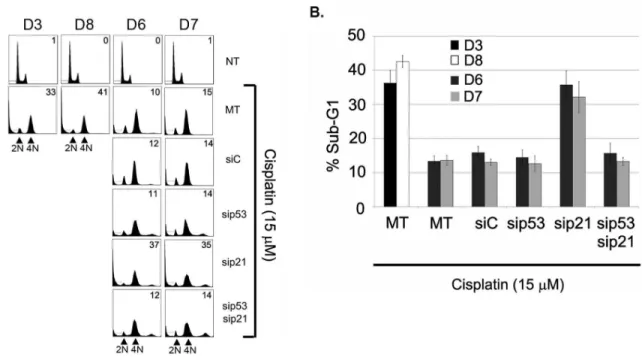 Figure 6. P21 knockdown abrogates the tetraploid G1 arrest induced by cisplatin and sensitizes cells to p53-dependent killing
