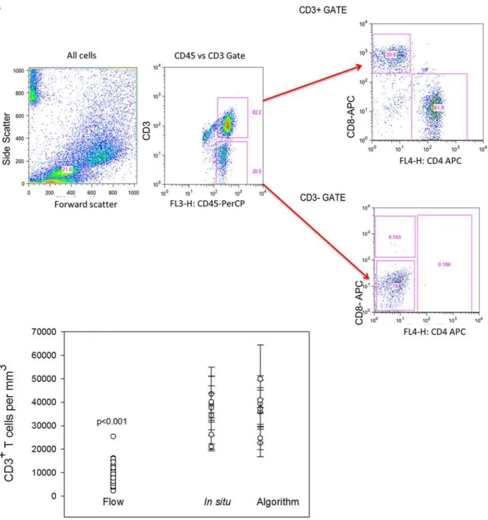 Fig 4. Comparison of automated counts of in situ sigmoid colonic and rectal mucosal T lymphocytes versus isolation and flow cytometric counting