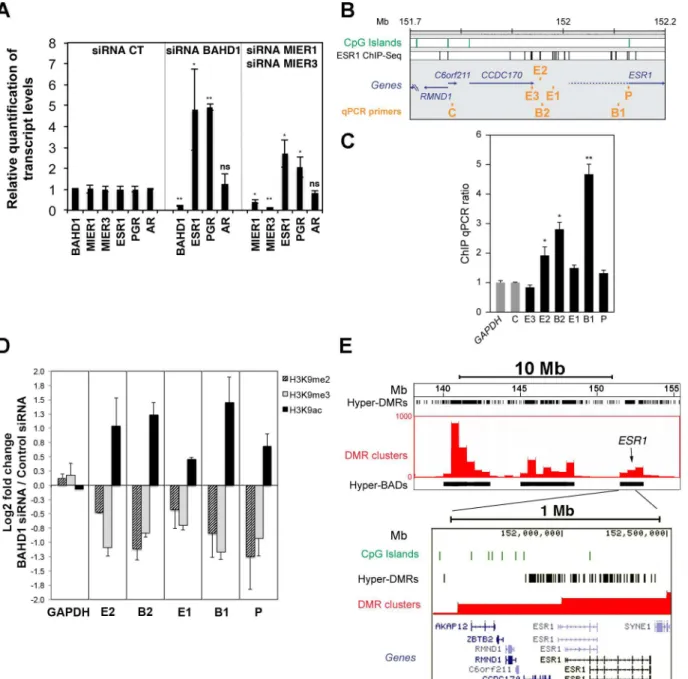 Fig 6. Depletion or overexpression of BAHD1 in HEK293 cells induce epigenetic changes at ESR1 